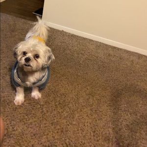 Meet your Posher, Adriana